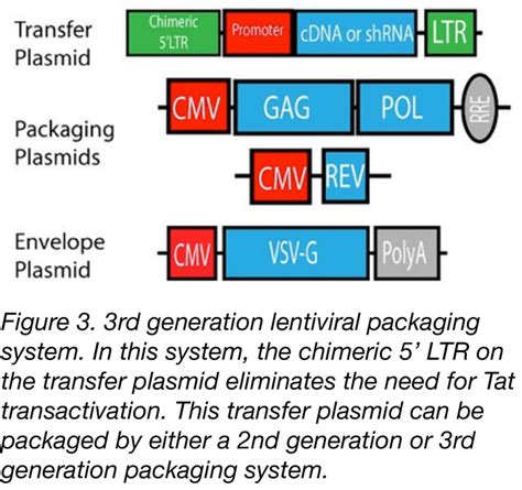 how are lentiviral vectors made.